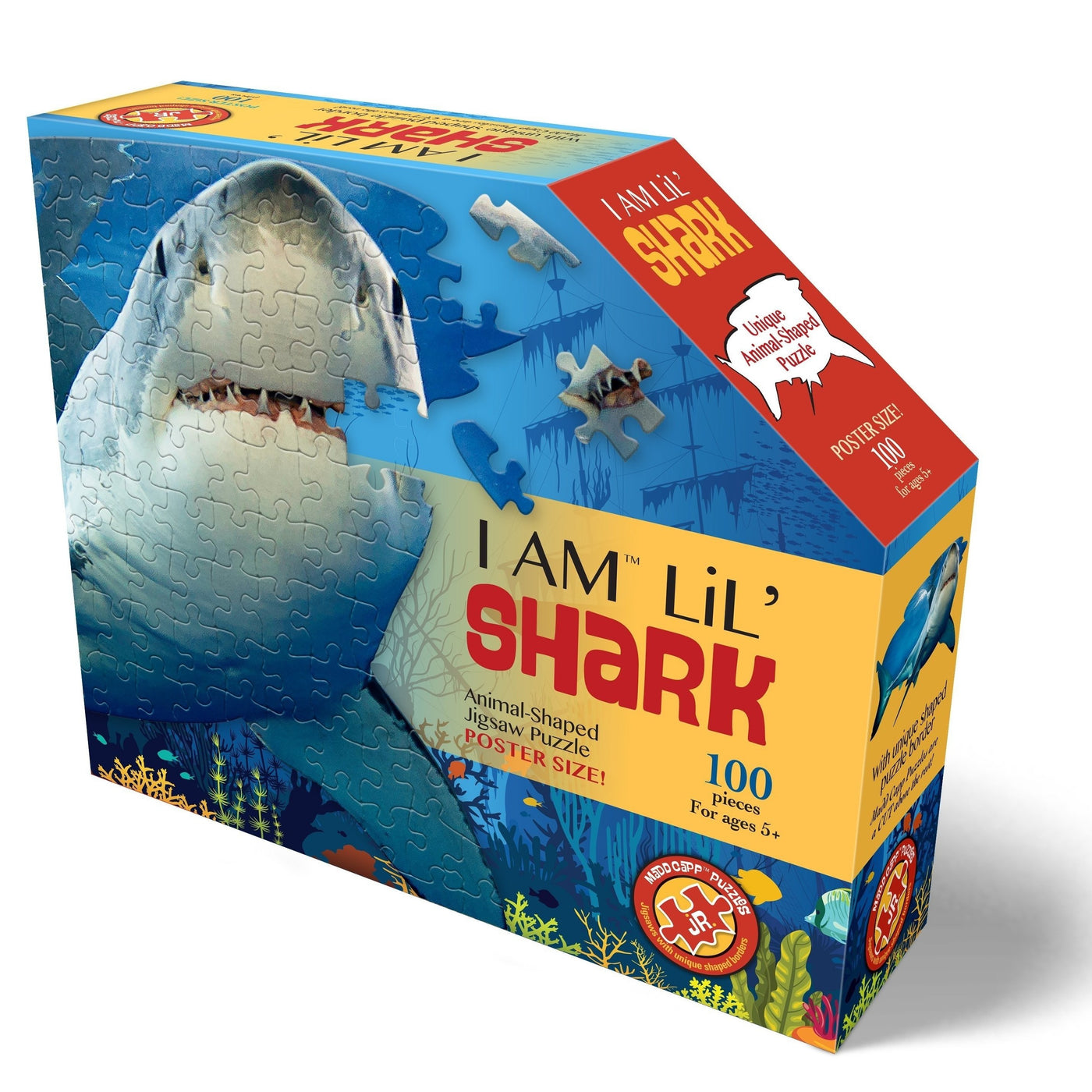 I am Lil' Shark - 100 stk