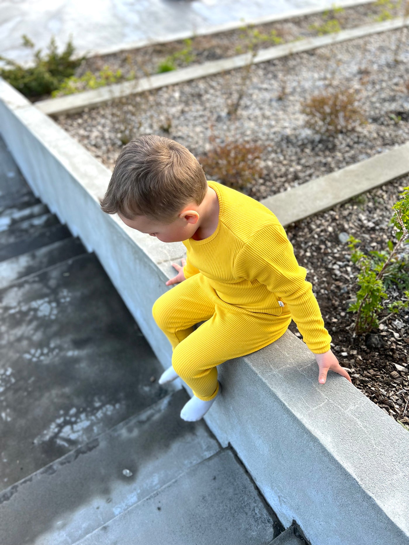Ribbed sett - Mustard